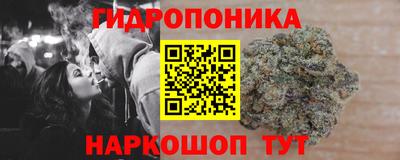 spice Можга