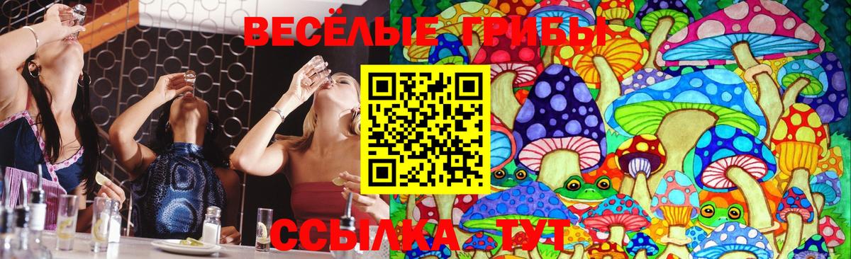 Псилоцибиновые грибы MAGIC MUSHROOMS  Вход с VPN  Вичуга 